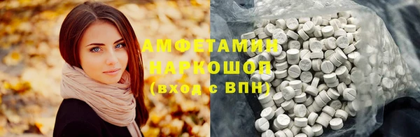стаф Аркадак