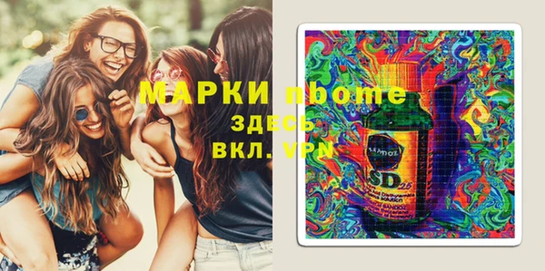 стаф Аркадак