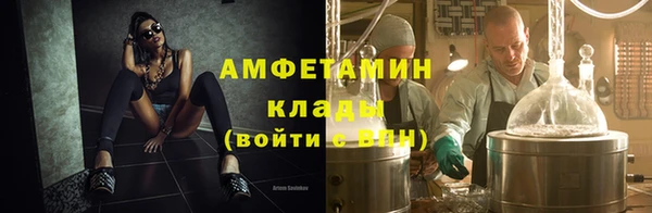 стаф Аркадак