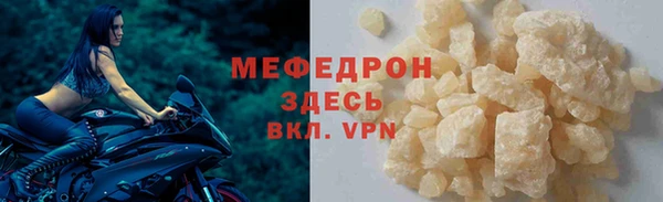 стаф Аркадак