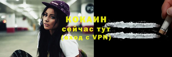мяу мяу мука Арсеньев